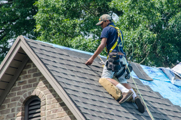 Quick and Trustworthy Emergency Roof Repair Services in Licking, MO